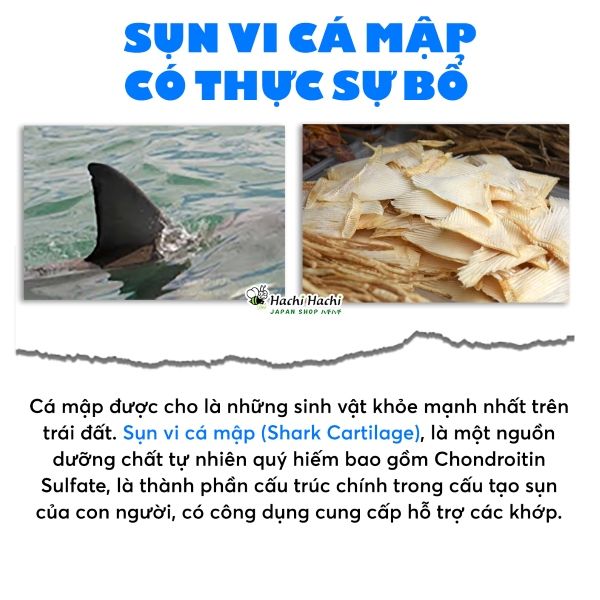 Vien-uong-sun-vi-ca-map-fine-japan-bo-sung-chat-nhon-cho-sun-khop-(1).jpg