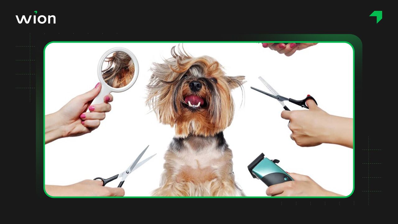 Kinh doanh spa thú cưng