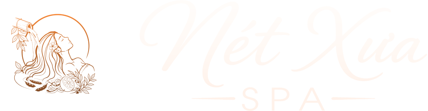 logo-netxua