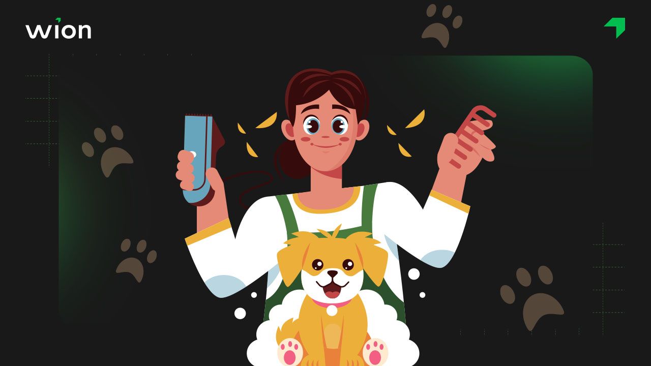 Spa thú cưng bao gồm những dịch vụ gì?