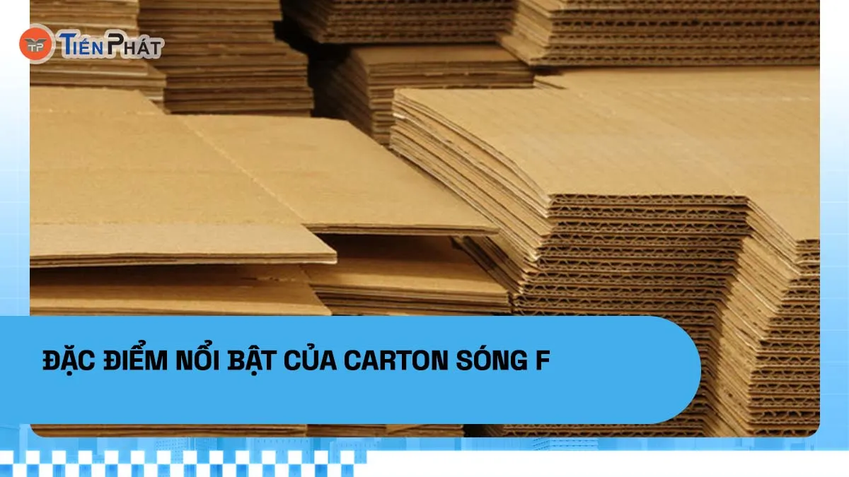 Đặc điểm nổi bật của carton sóng F