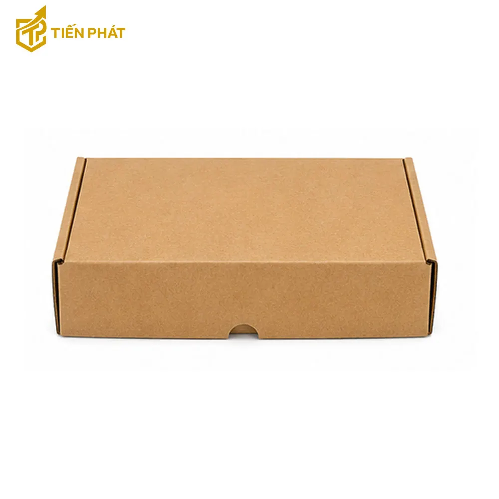 hop-carton-nap-gai-1