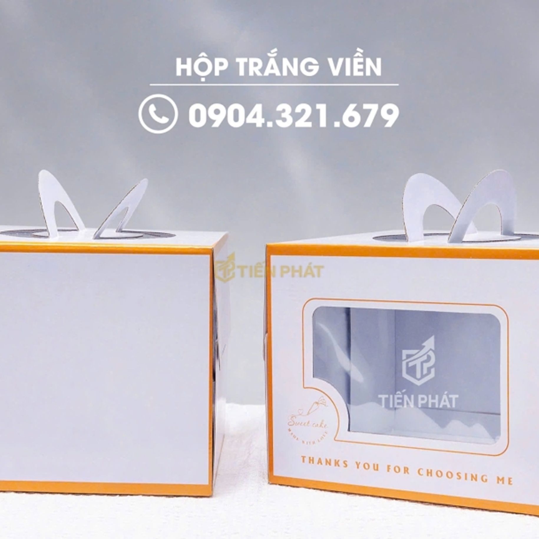 hộp đại trà03