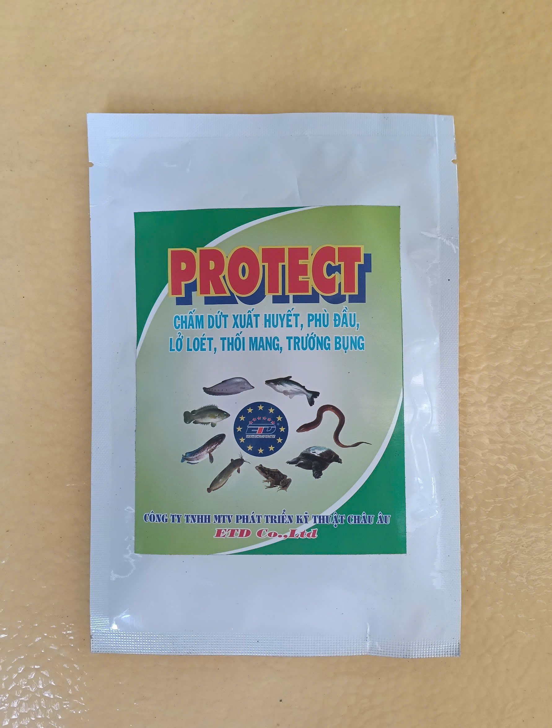 PROTECT thuốc thủy sản trị xuất huyết phù đầu cho cá tôm