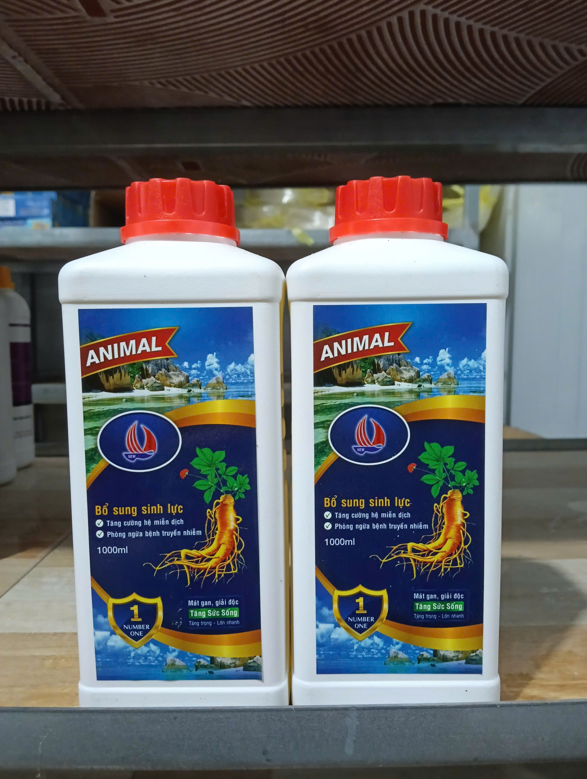 Ging Pak Animal 1000ml bổ sung sinh lực tăng đề kháng thủy sản