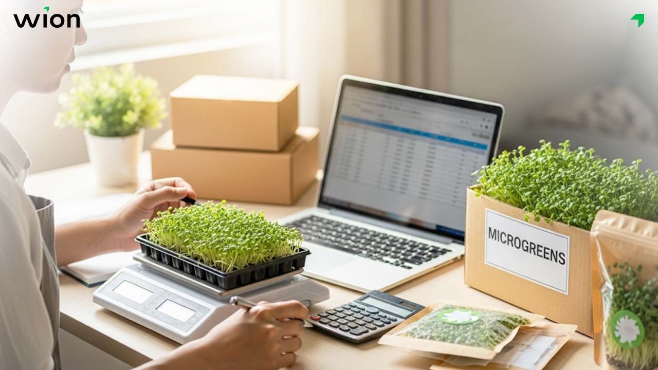 Định giá bán rau mầm phù hợp