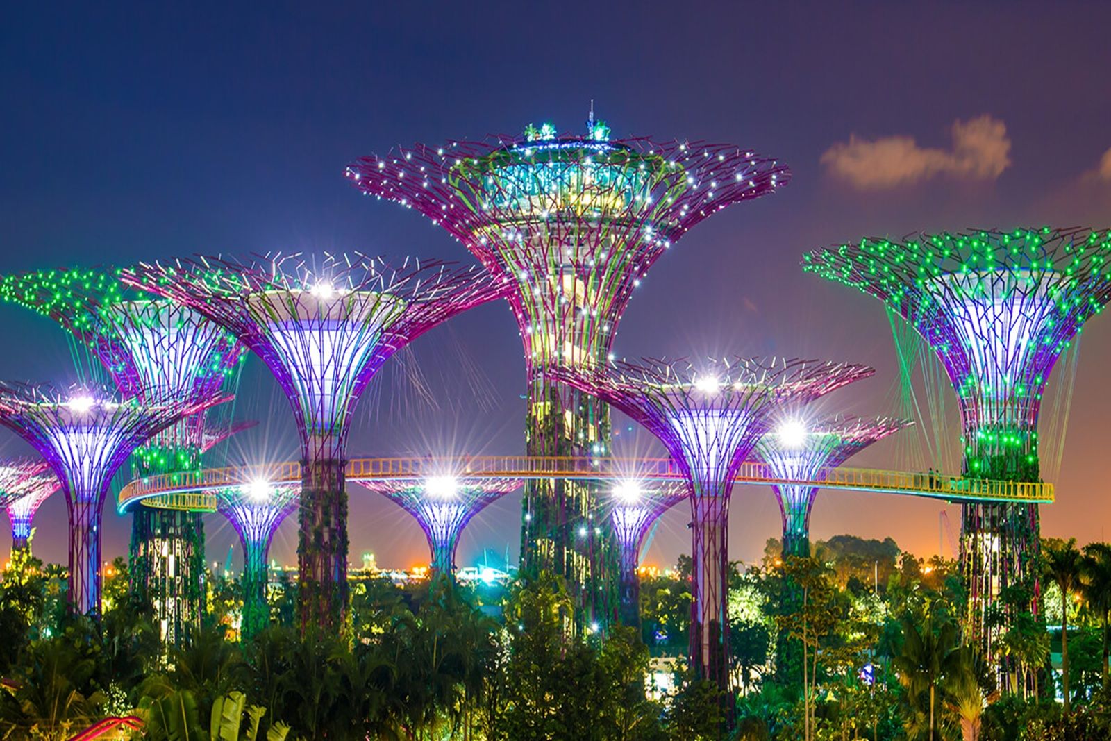 gardens by the bay