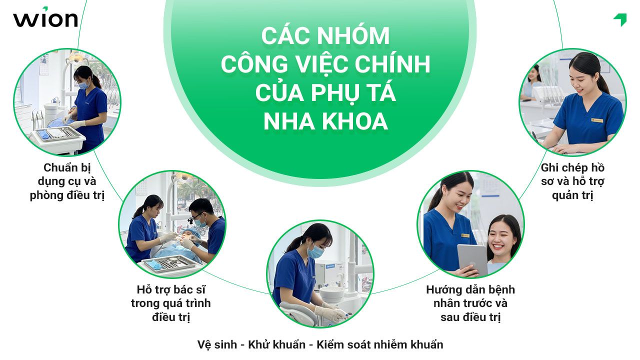 nhom-cong-viec-chinh-cua-phu-ta-nha-khoa