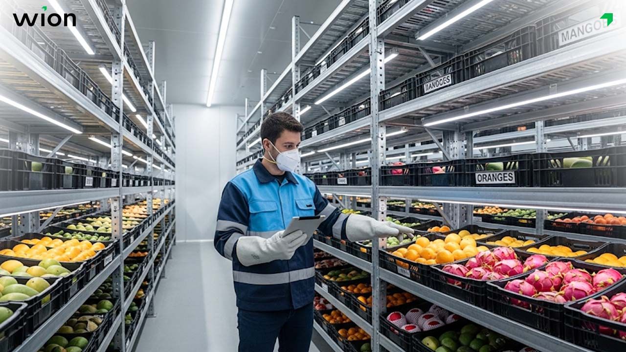 Theo dõi và kiểm tra thường xuyên trái cây trong kho