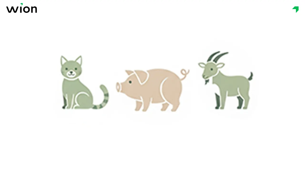 Năm 2026 tuổi nào phạm Tam Tai?