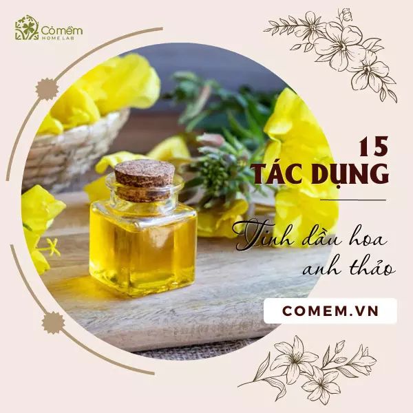 thông tin sản phẩm