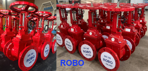 Van cổng tín hiệu Robo/Việt Nam DN100