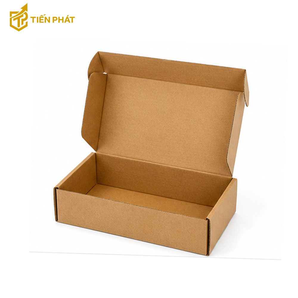 hop-carton-nap-gai-2