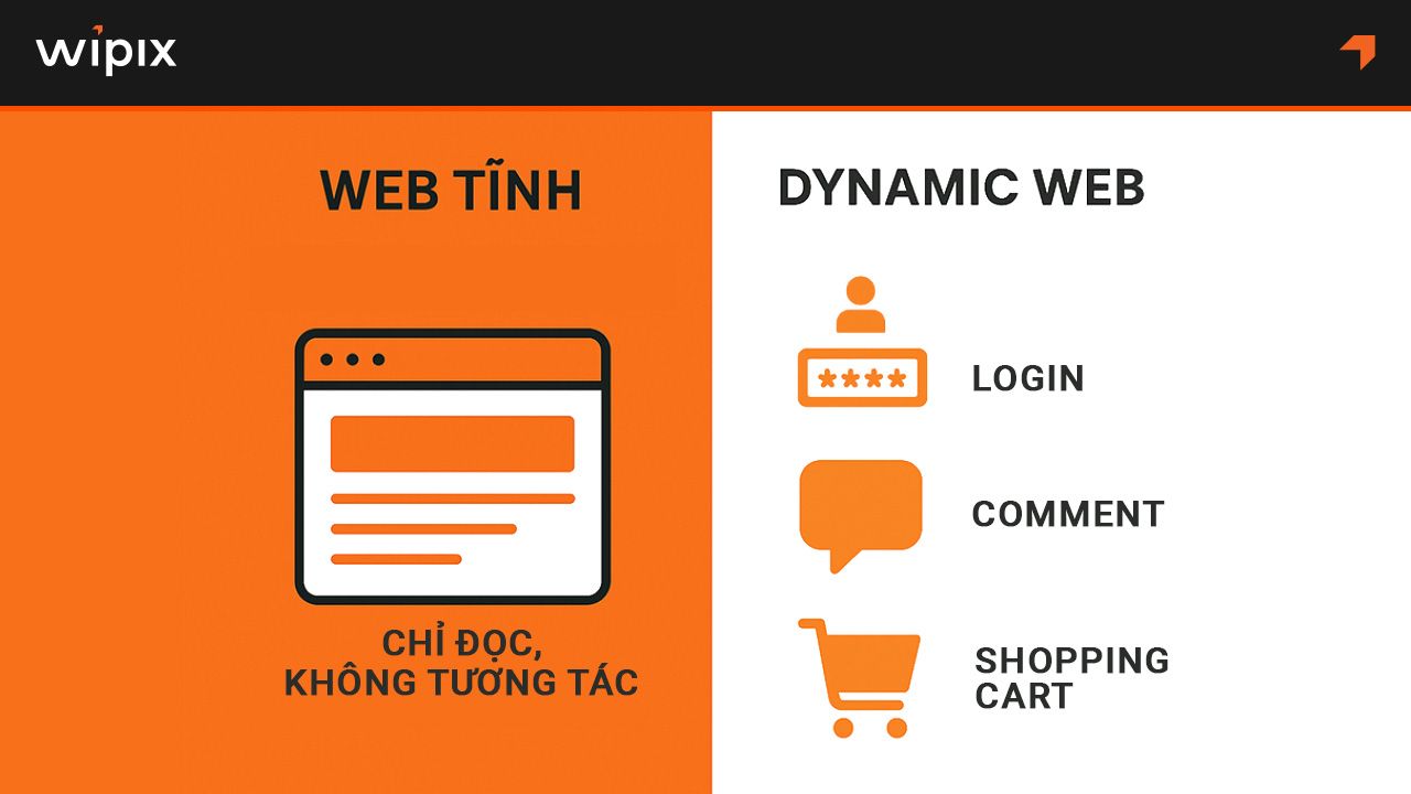 So sánh web tĩnh và web động, đâu là lựa chọn phù hợp?