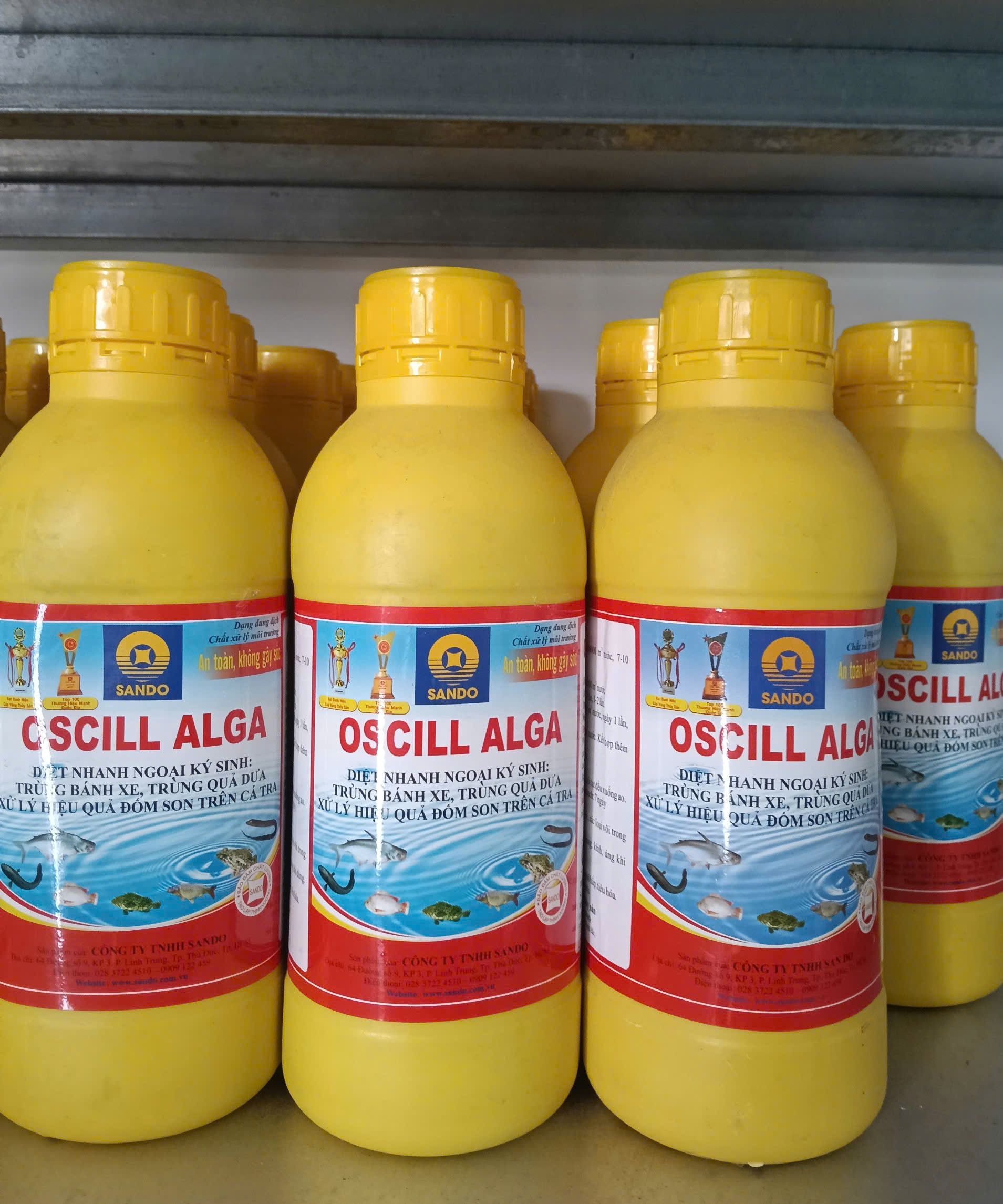 OSCILL ALGA SANDO diệt ngoại ký sinh trùng bánh xe trùng quả dưa