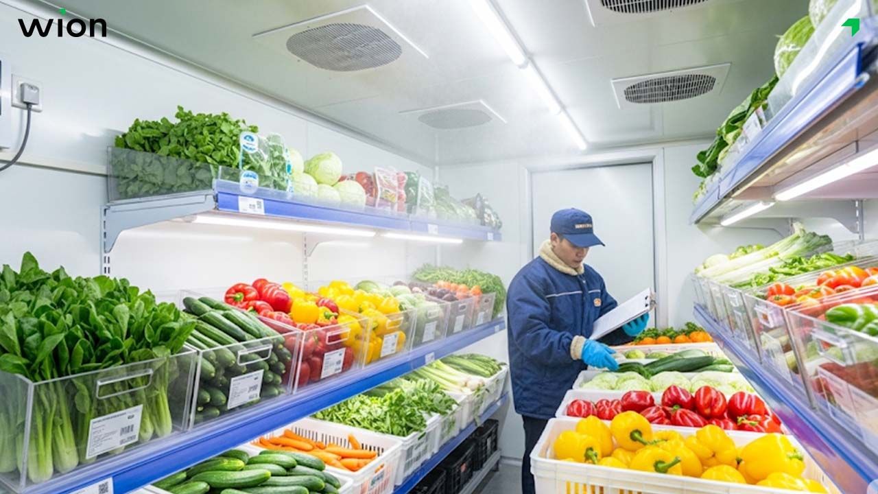 Các phương pháp bảo quản rau tươi lâu