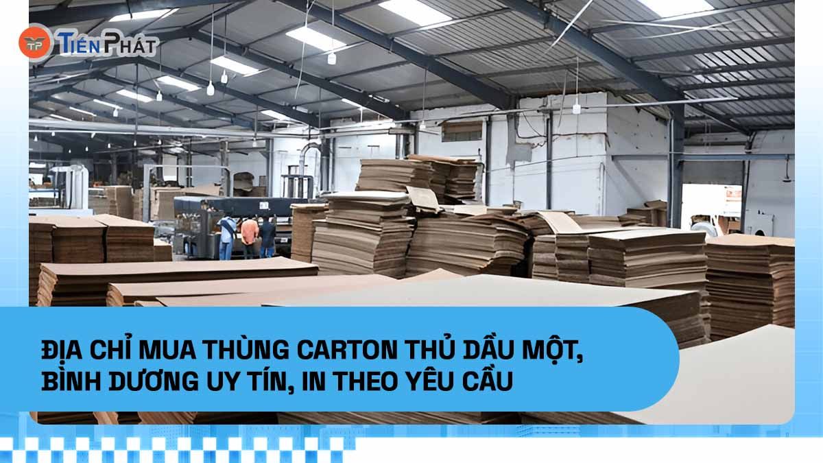 Địa chỉ mua thùng carton Thủ Dầu Một, Bình Dương uy tín, in theo yêu cầu