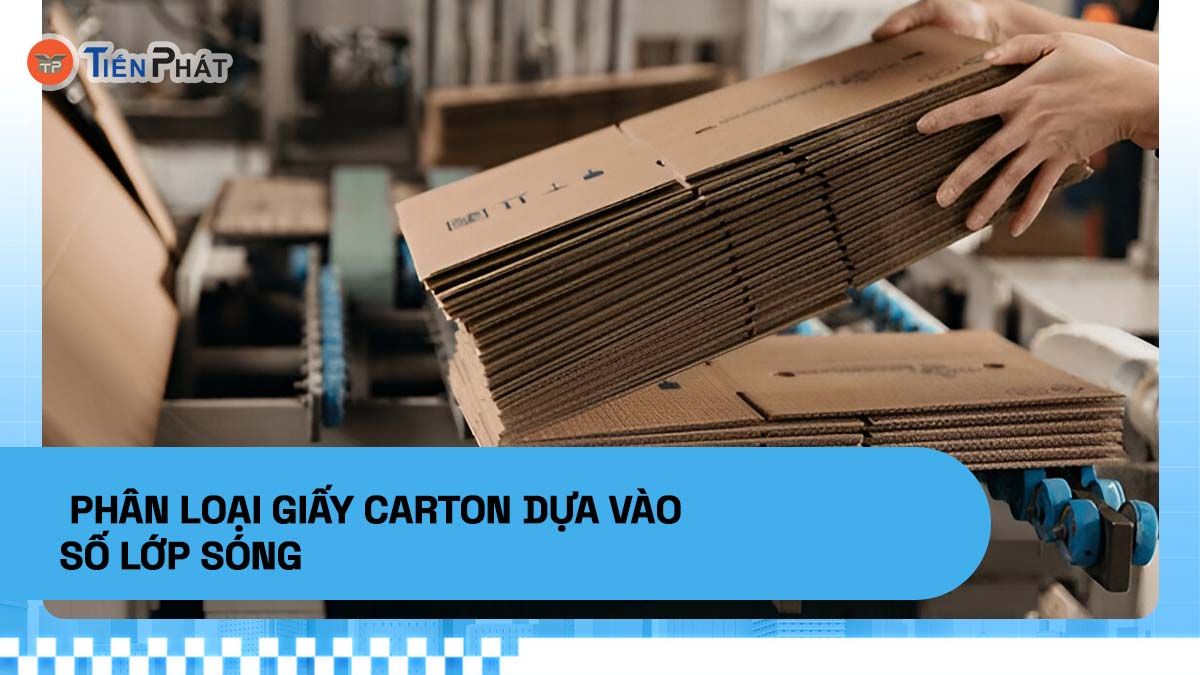 Phân loại giấy carton dựa vào số lớp sóng