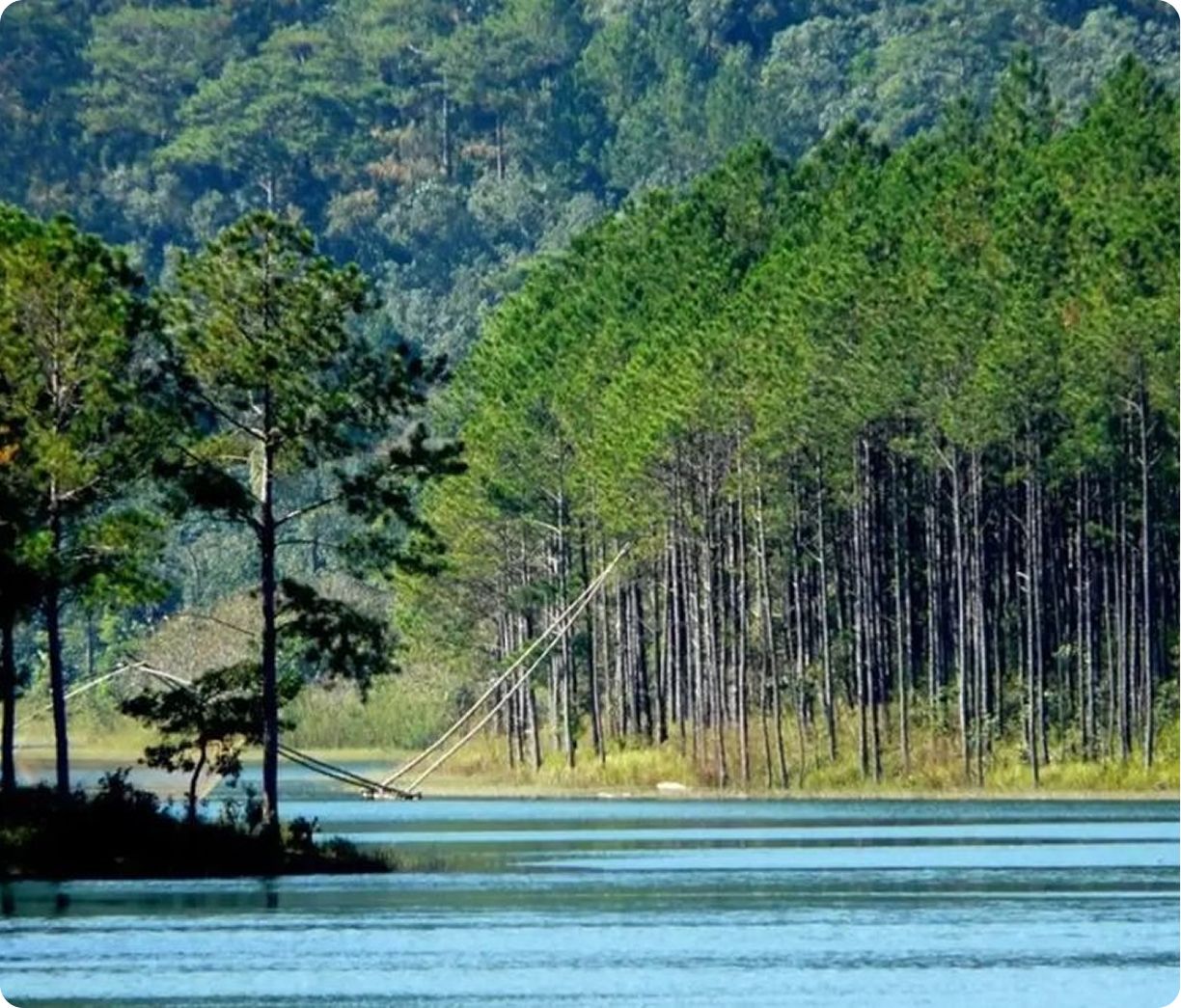 hotuyenlam