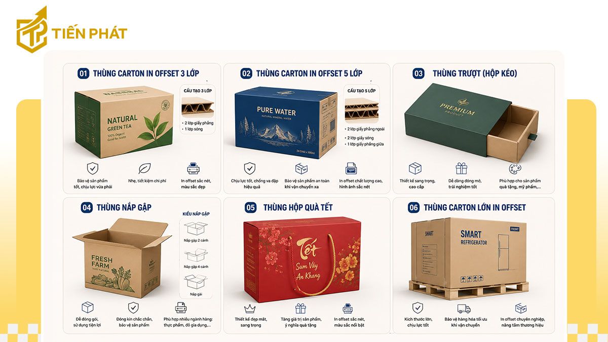 cac-loai-carton-in-offset-pho-bien