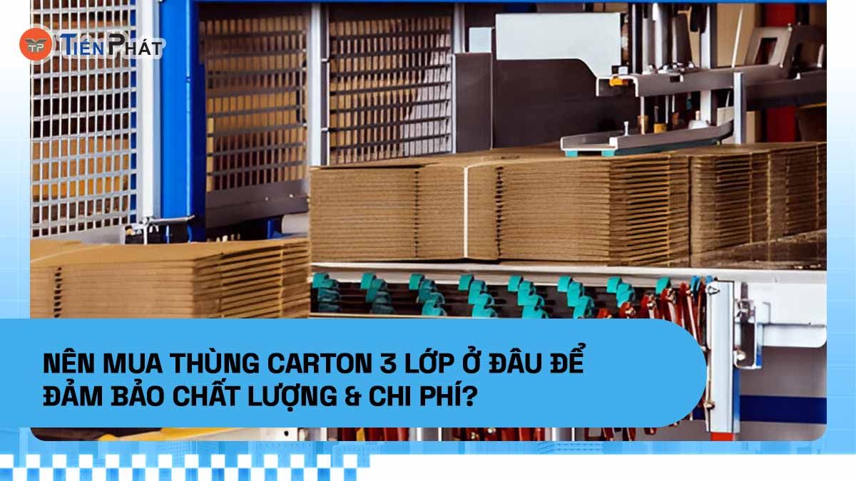 Nên mua thùng carton 3 lớp ở đâu để đảm bảo chất lượng & chi phí?