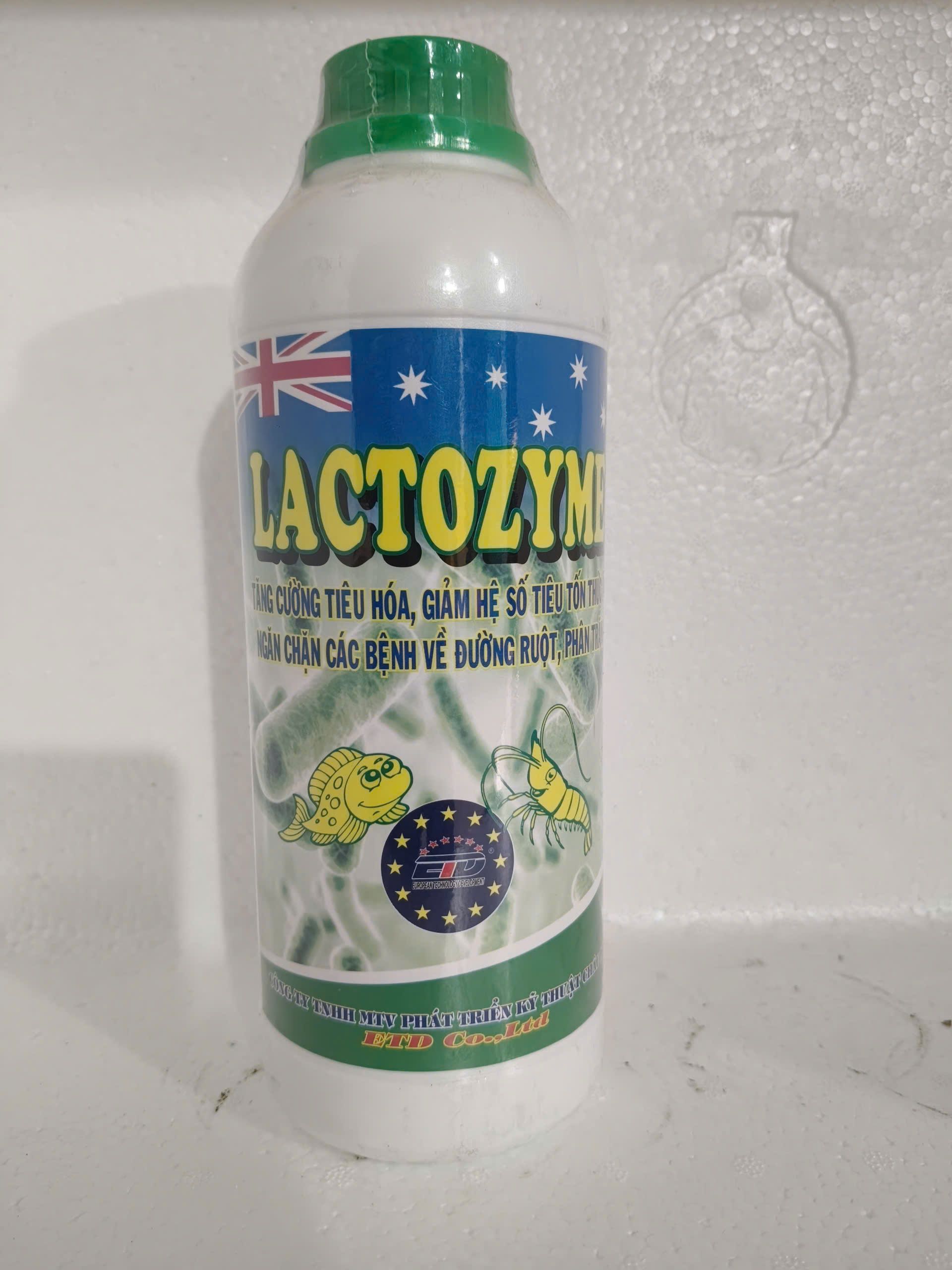 Chế phẩm vi sinh Lactozyme 1L phòng bệnh đường ruột tôm cá