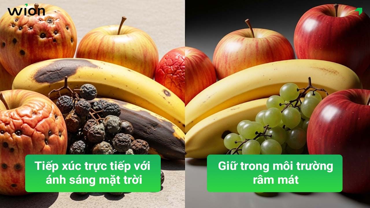 Ảnh hưởng của ánh sáng đến chất lượng hoa quả