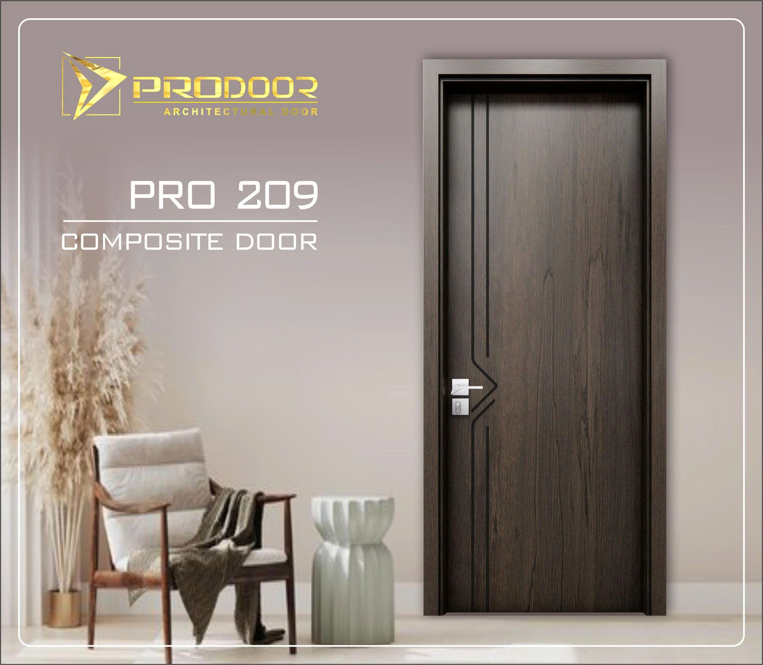 pro209
