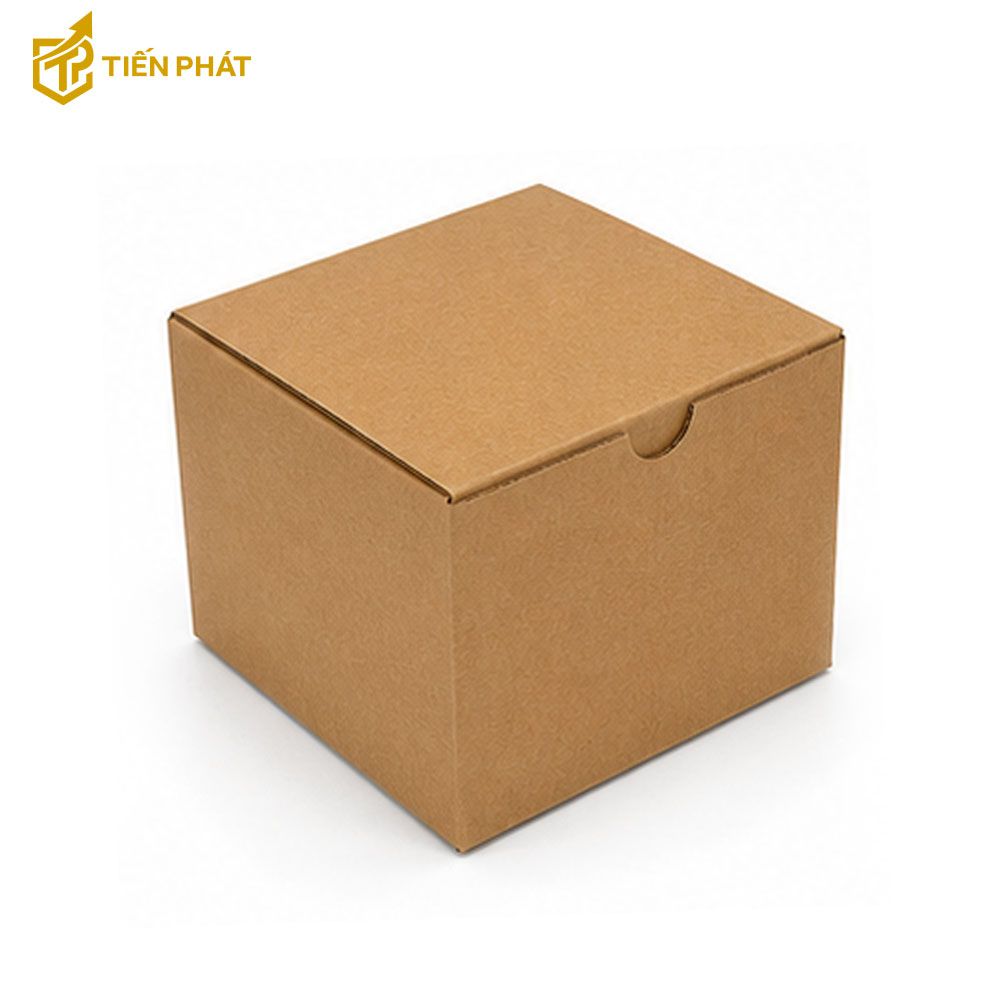 hop-carton-nap-gai-3