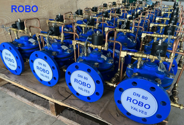 Van điện từ Robo DN80