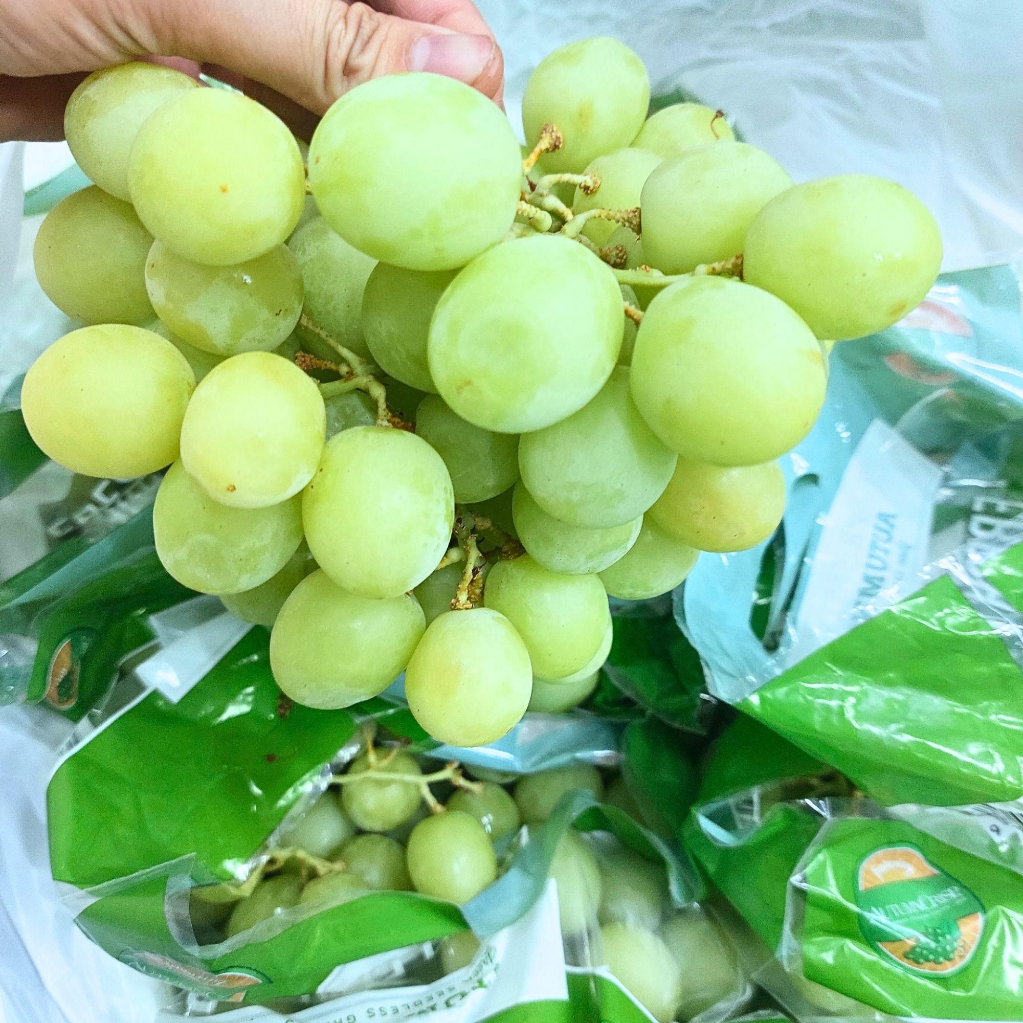 imageye___-_imgi_401_nho_xanh_autumn_crisp_premium_uc_-_500g__i0012189_2_4fa7c5725ee4410f8cb8f981d0c958f6