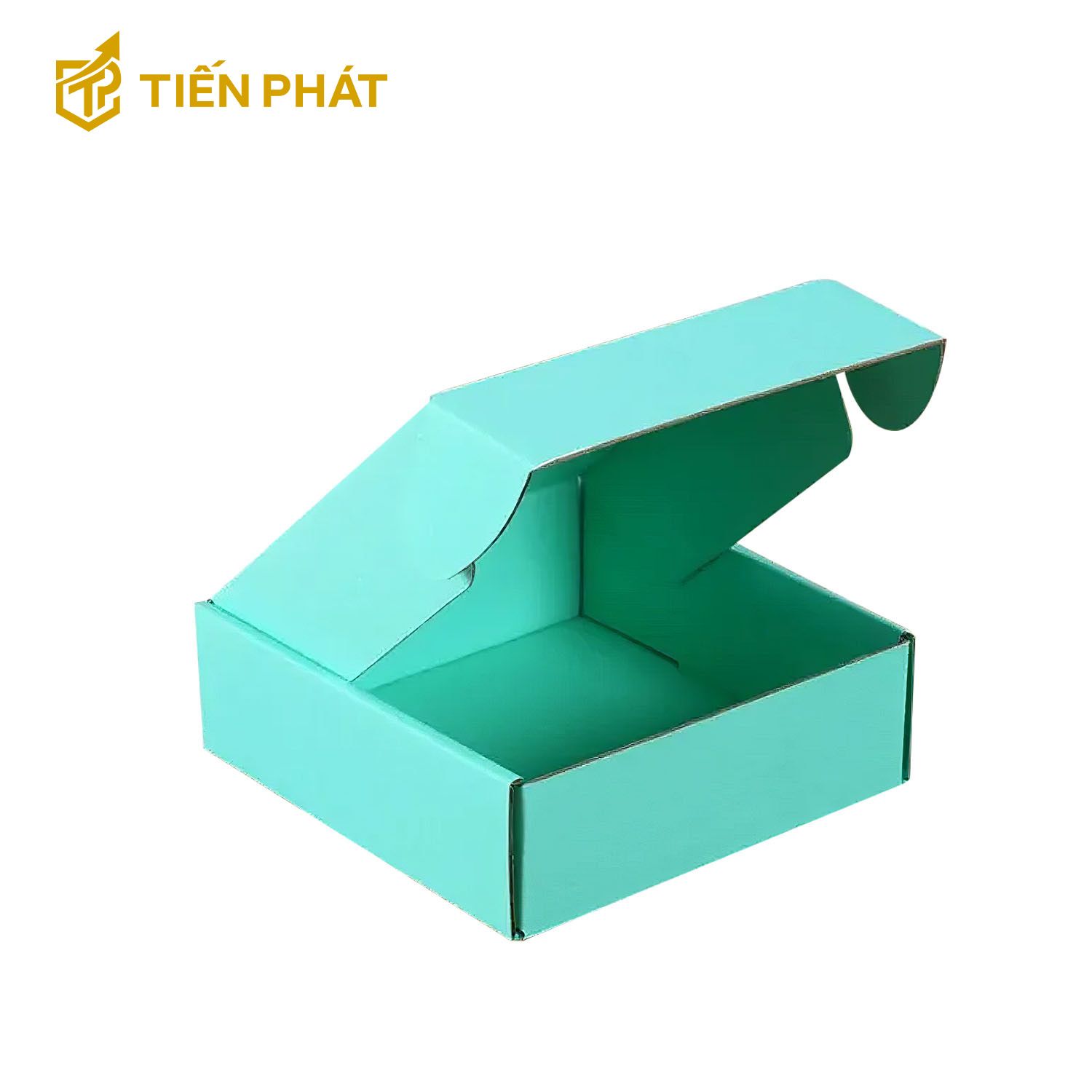 hop-carton-nap-gai-mau-xanh-ngoc-khong-hoa-tiet (2)