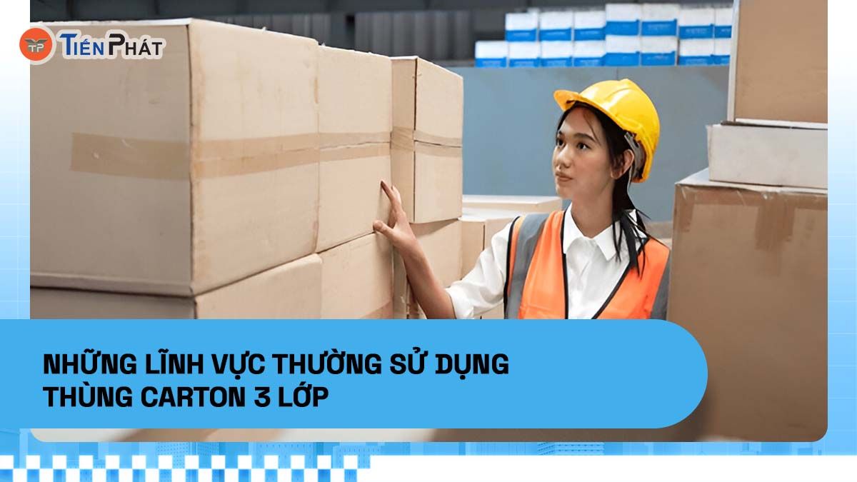 Những lĩnh vực thường sử dụng thùng carton 3 lớp