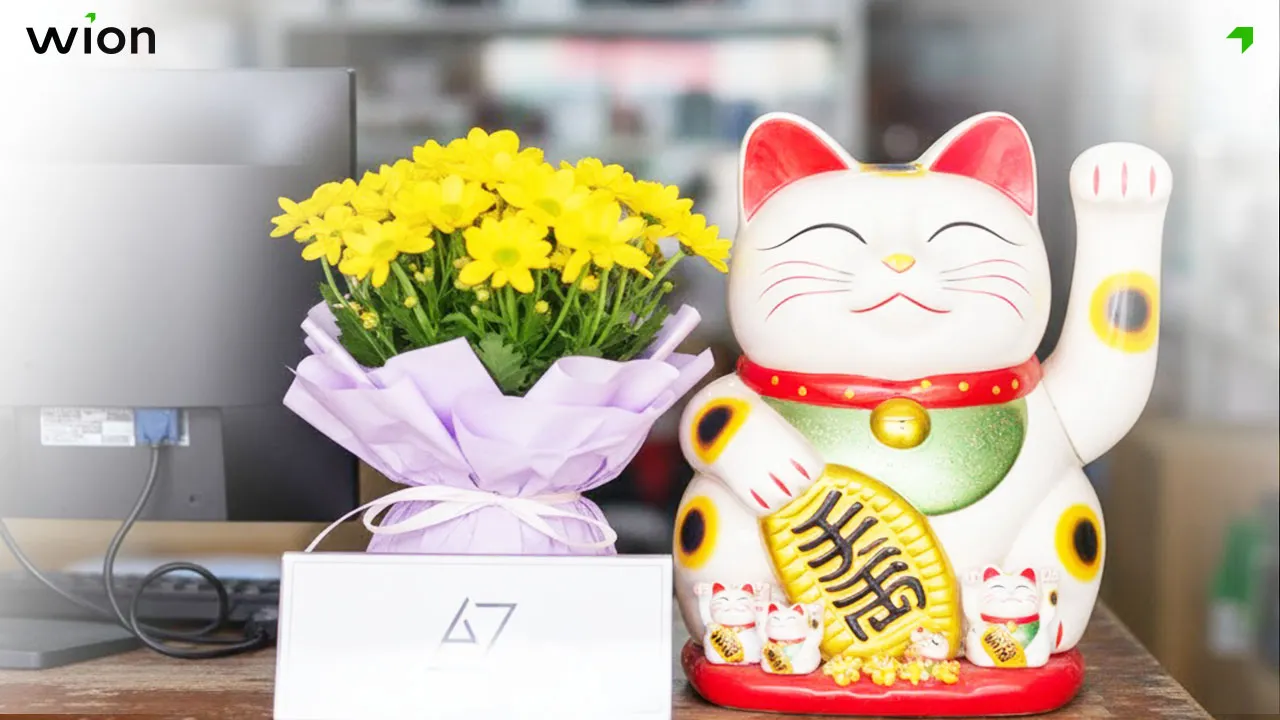 Mèo thần tài để ở đâu nếu không đặt trên bàn thờ?