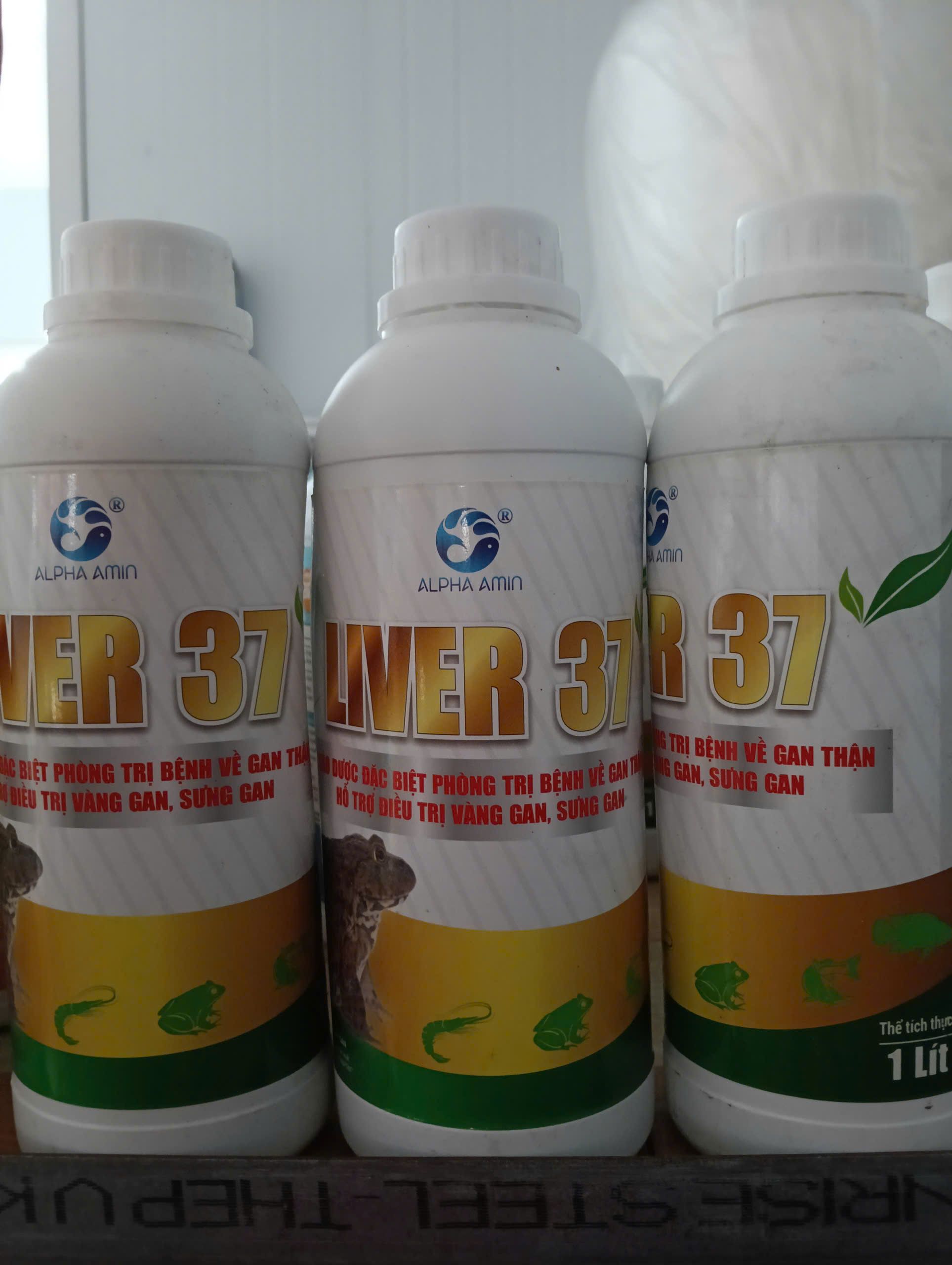 LIVER 37 Alpha Amin giải độc gan cho tôm cá hiệu quả
