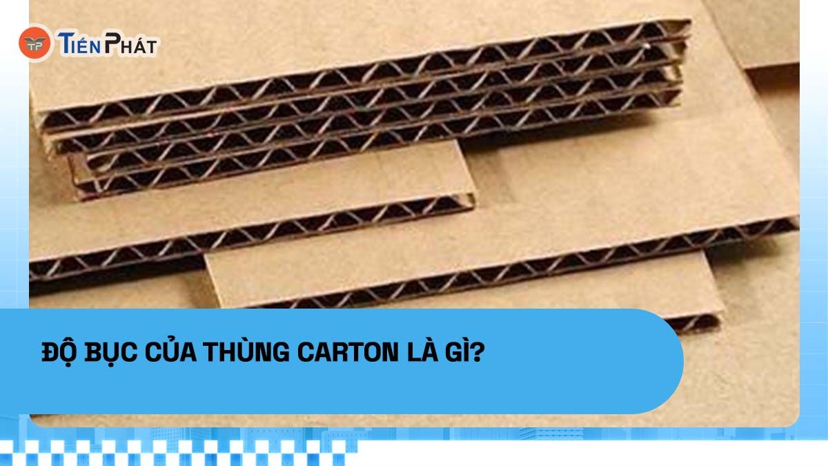 Độ bục của thùng carton là gì?