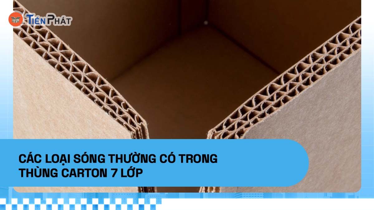 Các loại sóng thường có trong thùng carton 7 lớp