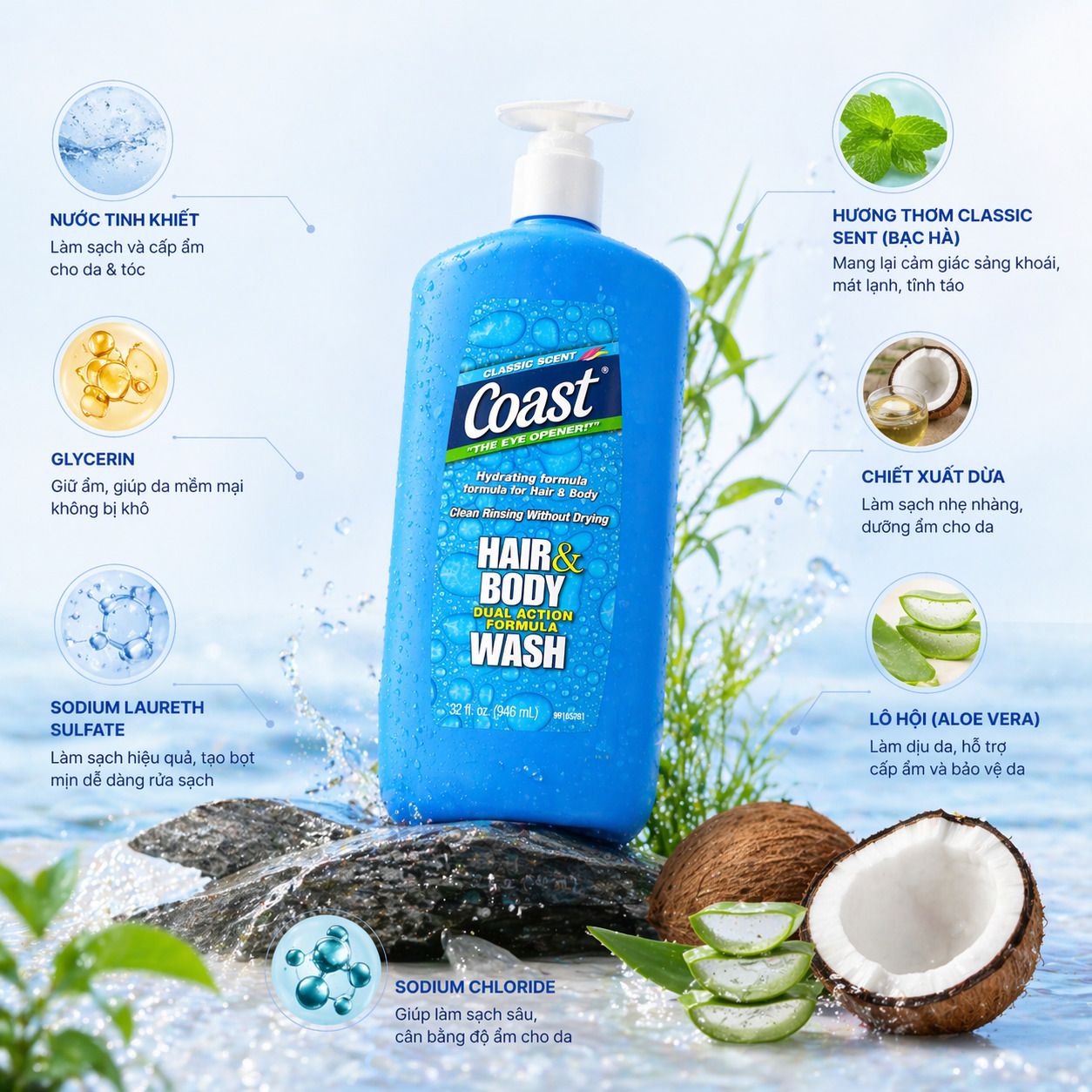 tắm gội coast 2