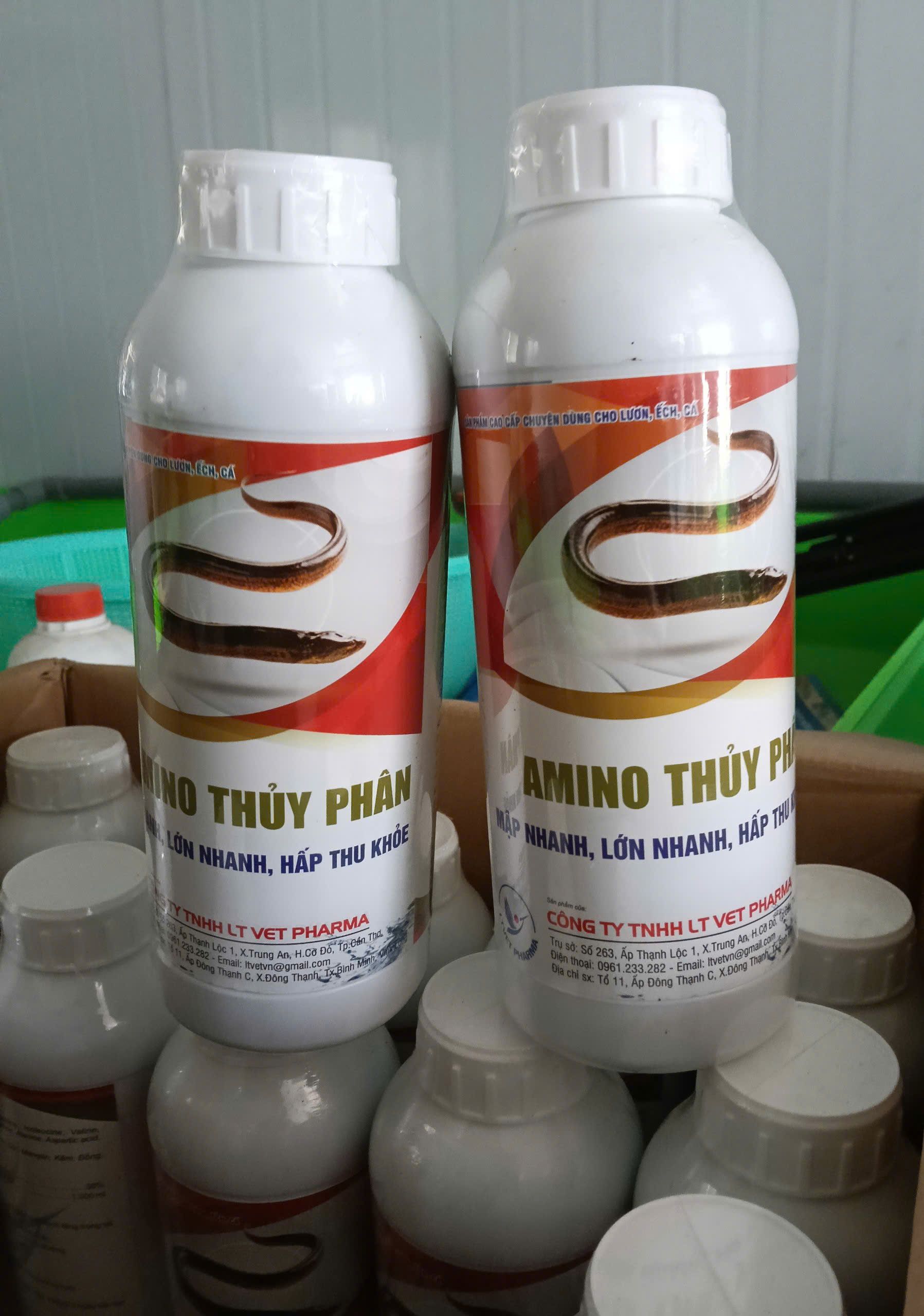 Amino thủy phân cho lươn cá giúp tăng trưởng nhanh