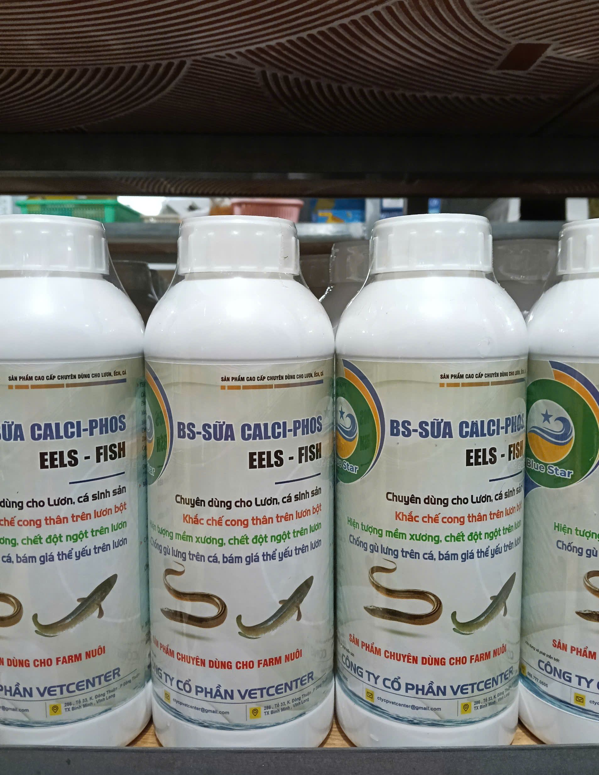 BS Sữa Calci Phos EELS FISH bổ sung canxi cho lươn cá Vetcenter