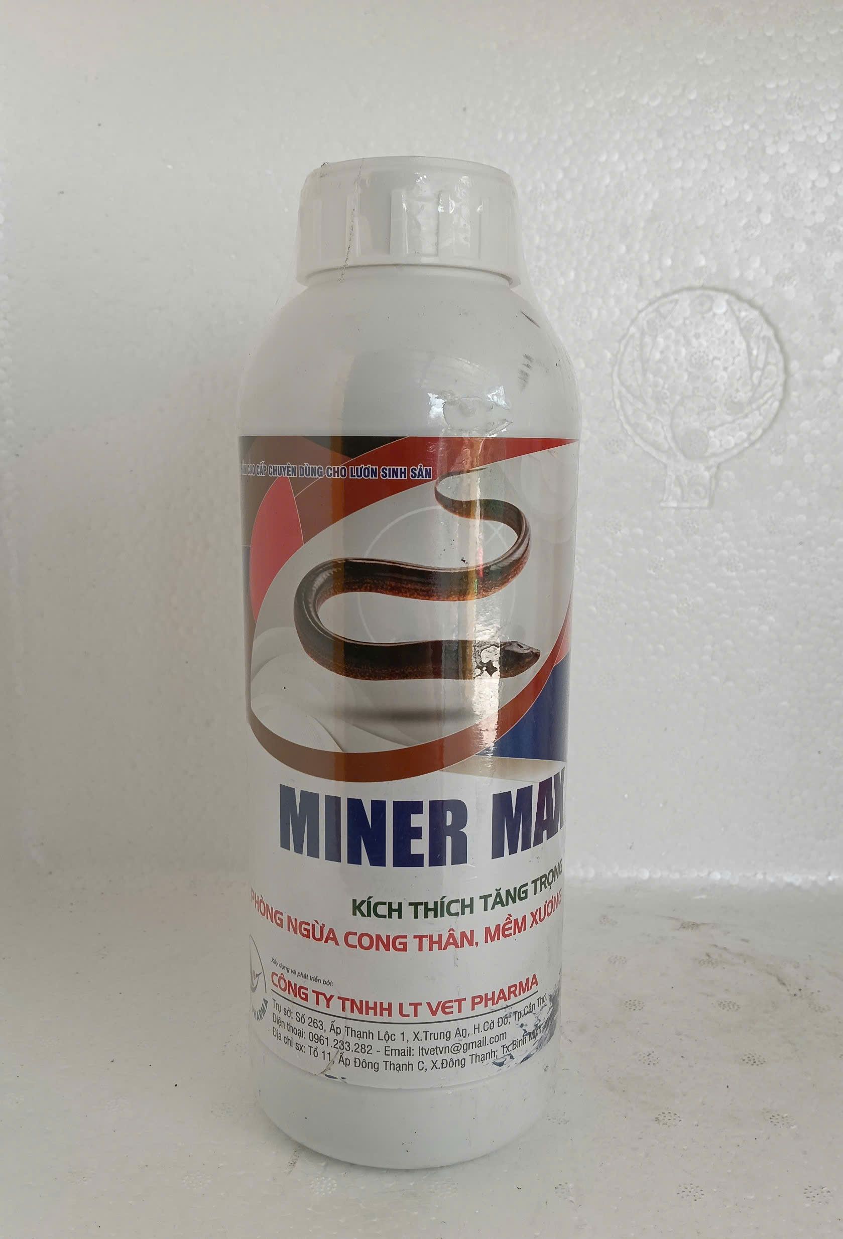 Miner Max khoáng cho lươn sinh sản tăng trưởng nhanh