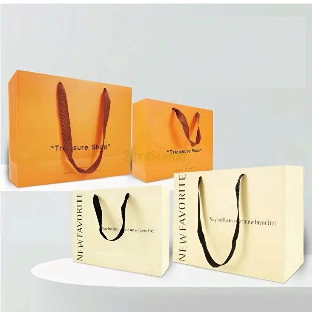 túi giấy ngành may mặc