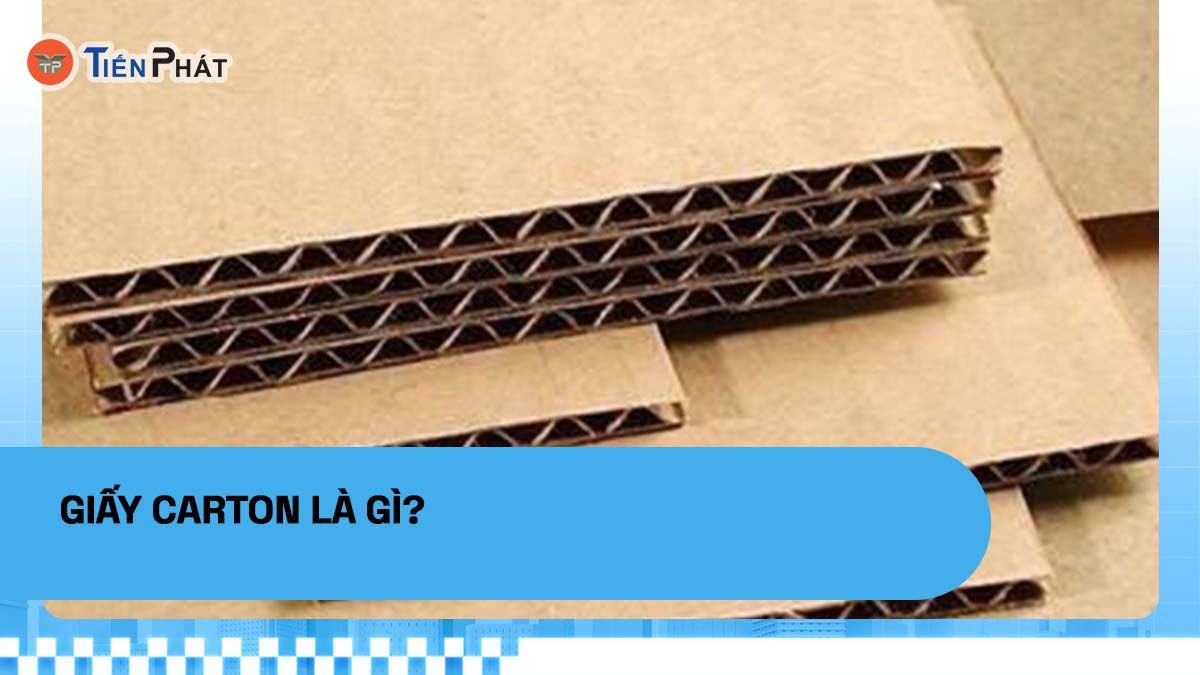 Giấy carton là gì?