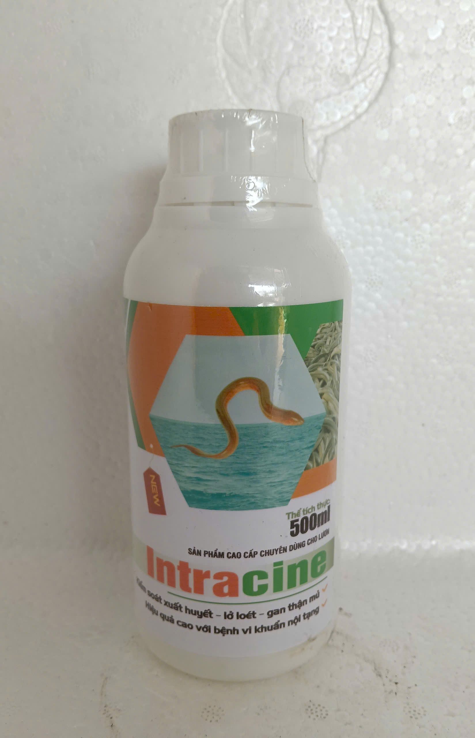 Intracine 500ml trị xuất huyết lươn hiệu quả cao