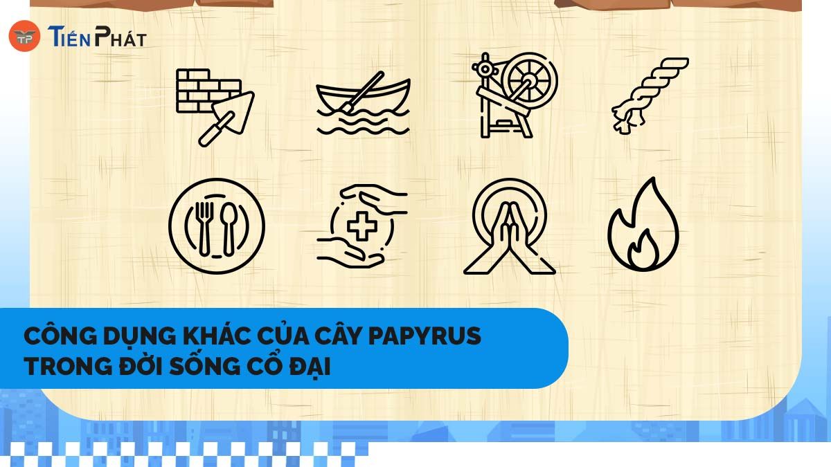 Công dụng khác của cây Papyrus trong đời sống cổ đại