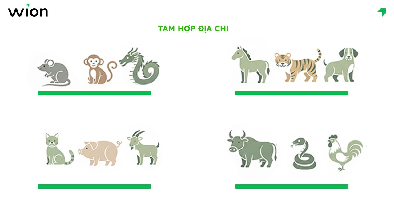 Nguyên tắc xác định hạn Tam Tai