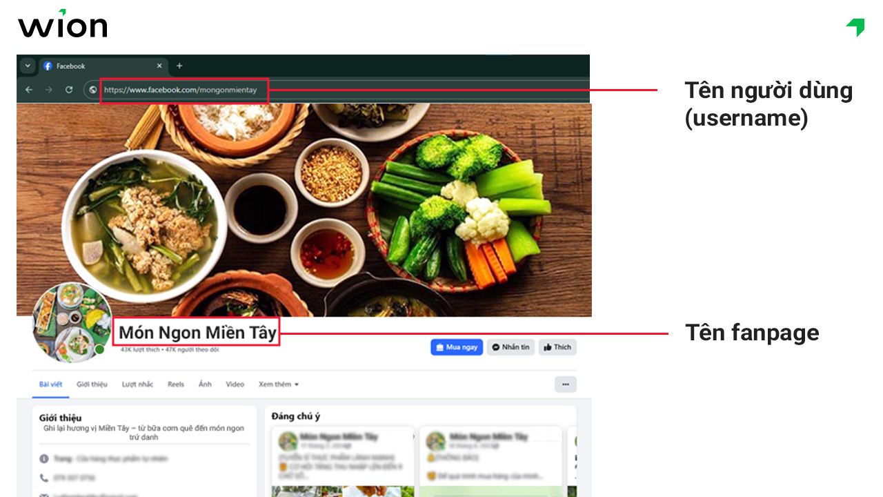 Phân biệt tên Fanpage và tên người dùng