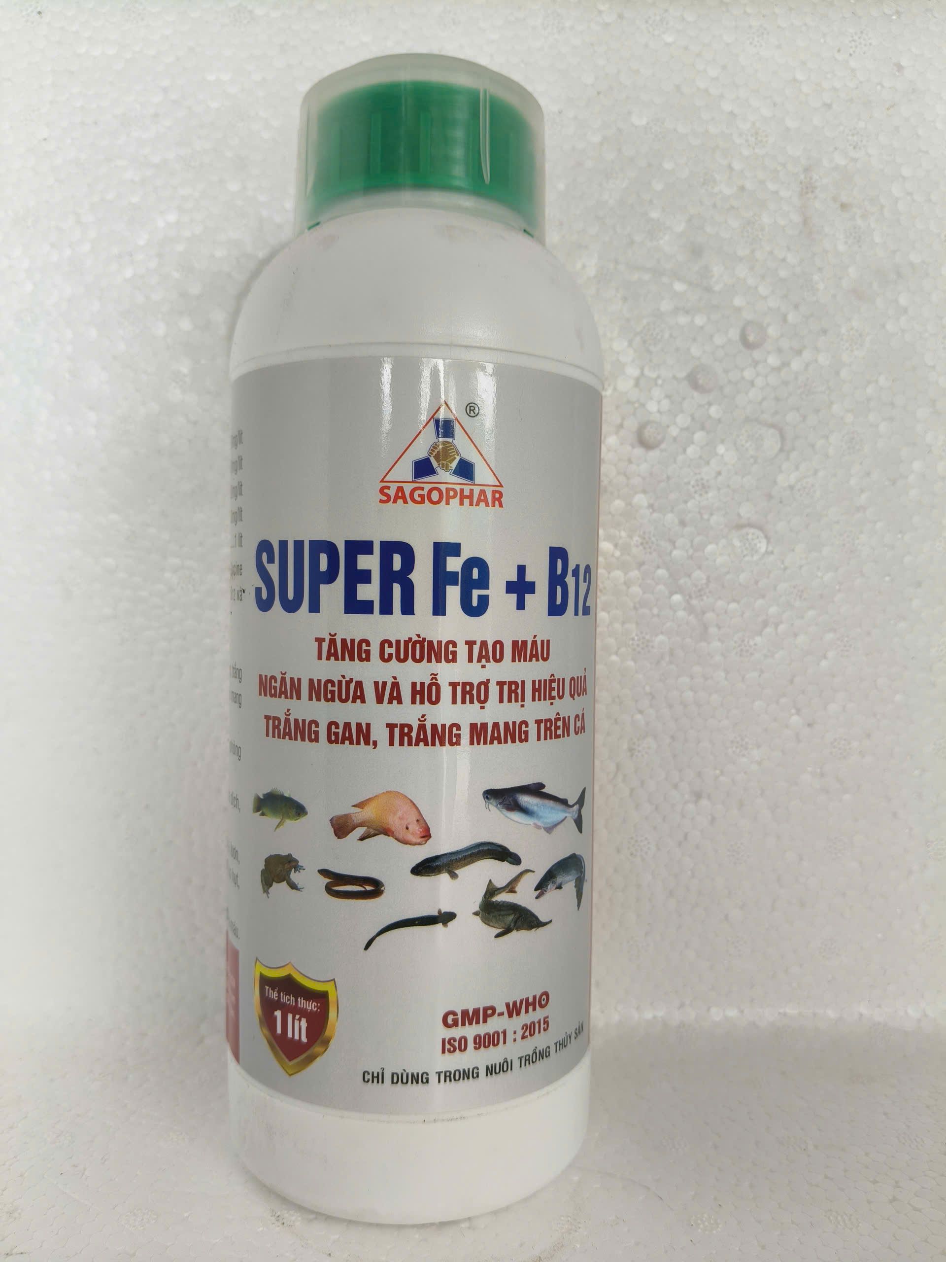 SUPER Fe + B12 SAGOPHAR 1 lít tăng cường tạo máu, hỗ trợ trị trắng gan trắng mang cho cá, lươn, ếch.