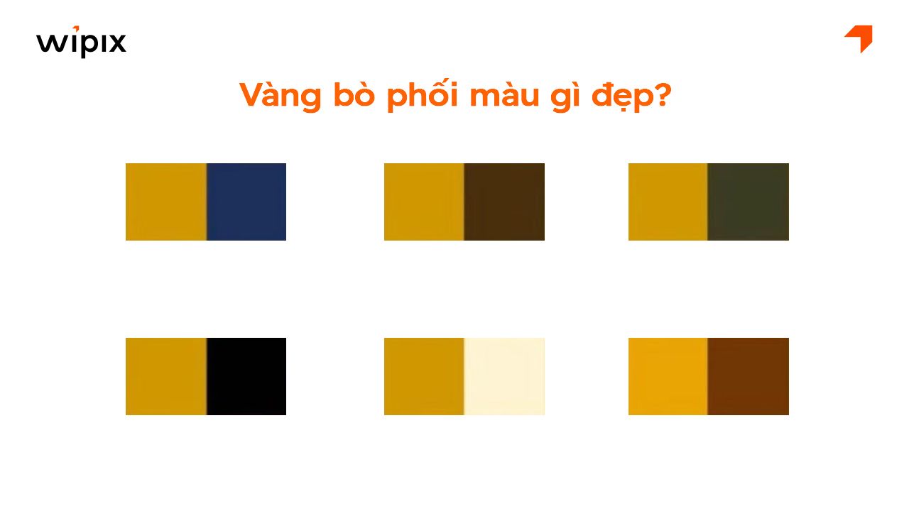 Màu vàng bò phối với màu gì đẹp? Gợi ý cách phối màu