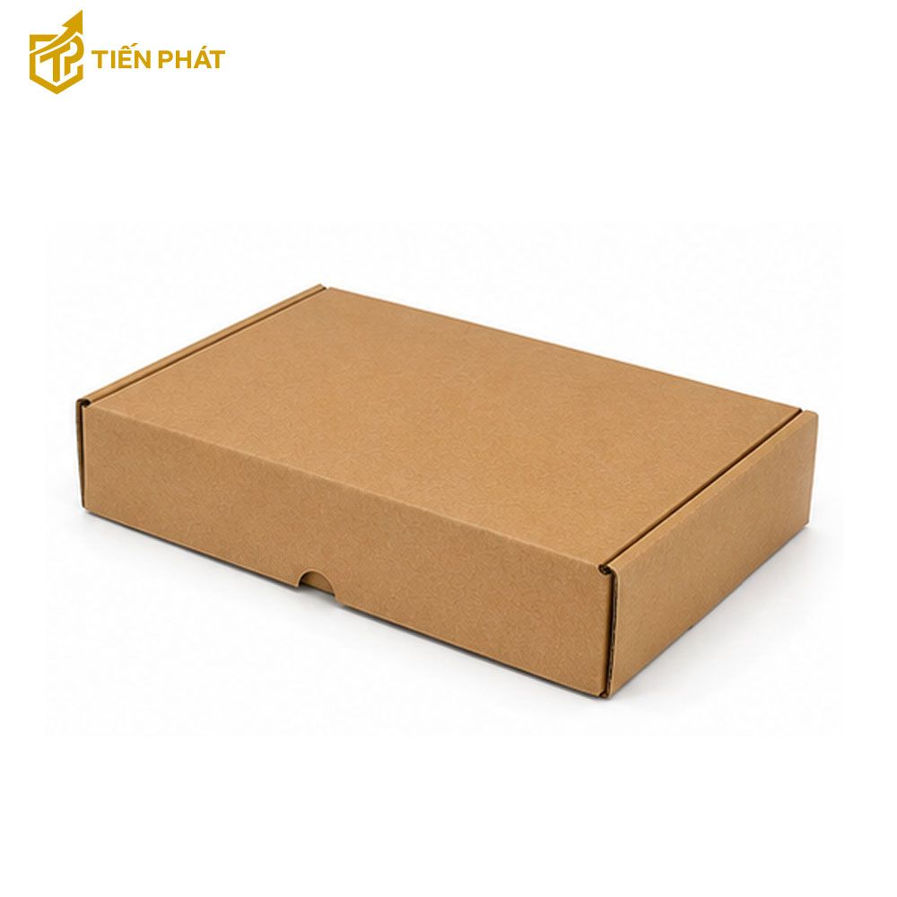 hop-carton-nap-gai-4